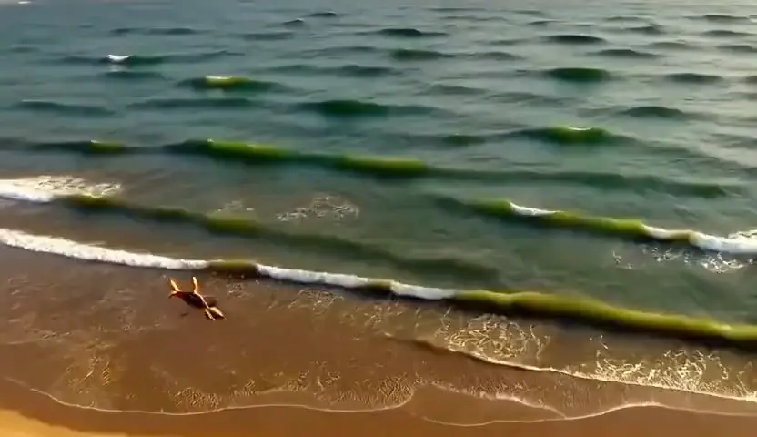 Slow aerial push over a turquoise cove at golden hour